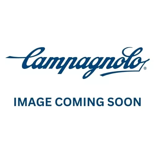 Campagnolo Disc Brake Hydro Hose 2000mm
