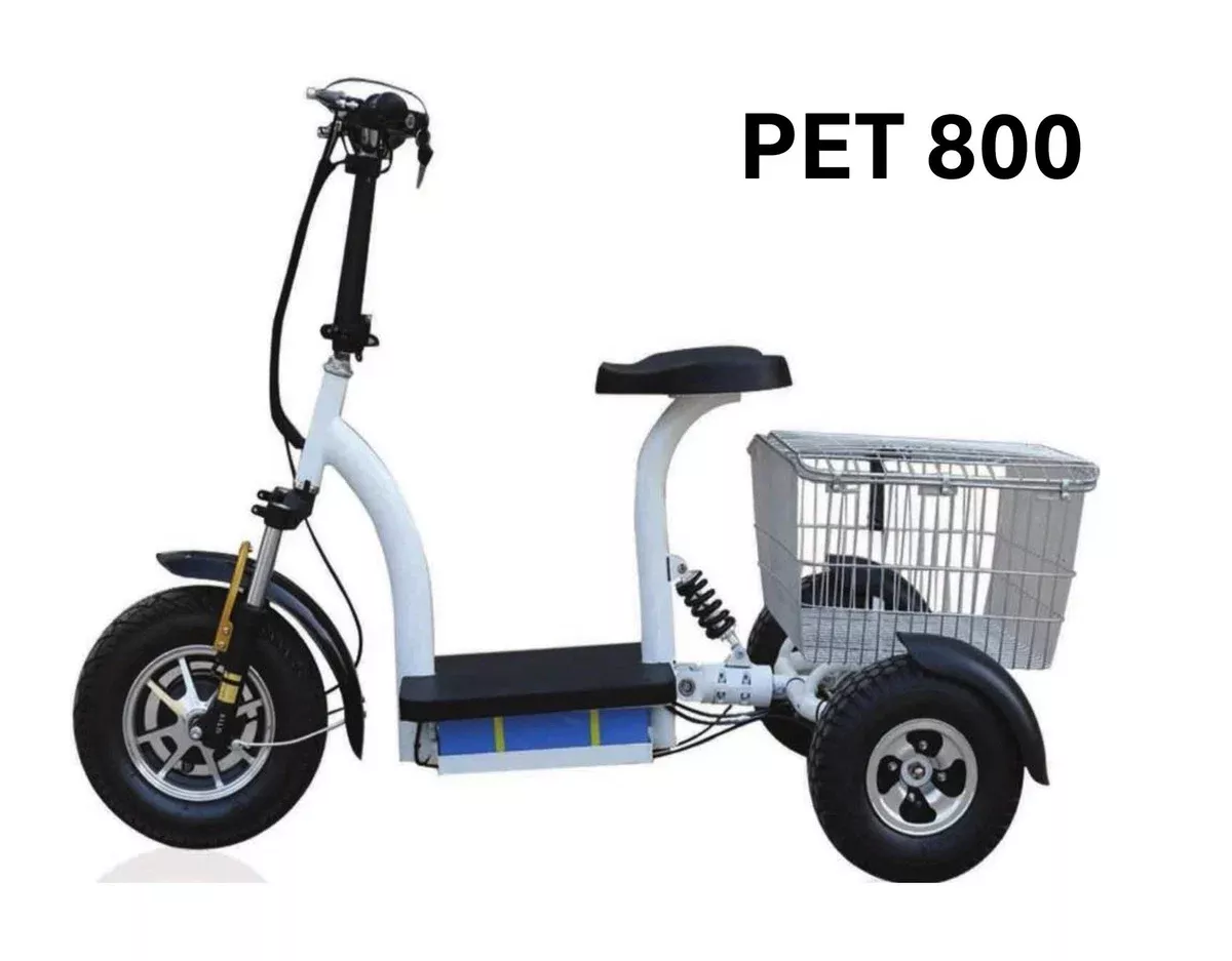 PET 800 48V Electric Tricycle Scooter