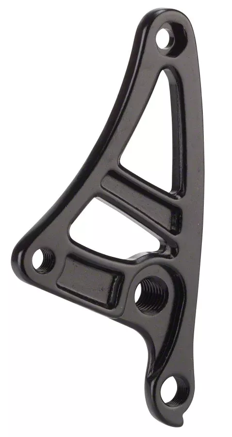 Salsa Alternator 1.0 Plate Right thru-axle M12x1.75 thread pitch Derailleur Hanger