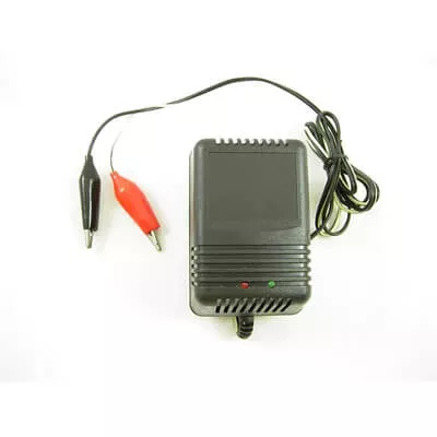 TaoTao Replacement BATTERY CHARGER for Gas ATVs, Dirt Bikes
