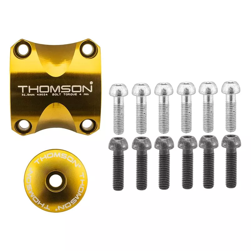 Thomson Stem Dress Up KitGold