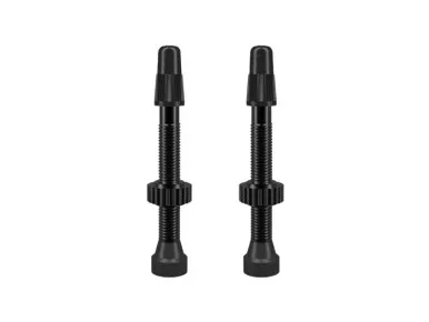 WTB TCS Presta Valve Set Black 46mm
